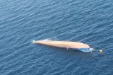 Misiune contracronometru în Marea Neagră. Un elicopter Black Hawk caută cei trei marinari dispăruți de pe nava Khoryv -VIDEO
