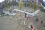 Tineri surprinși în timp ce distrugeau mobilierul unui parc din Bistrița. Primarul cere ajutorul localnicilor pentru identificarea lor