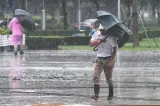Taifunul Champi lovește Taiwanul: un mort, peste 500 de răniți și 56.000 de gospodării fără electricitate