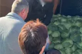 Țeapa cu varză care îi lasă pe români fără bani. Cum sunt păcăliți cumpărătorii și cum se pot proteja