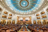 Senatul a ales noua conducere a Institutului Cultural Român. Corina Încroșnatu, propunerea PSD, este noul președinte