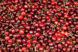 Prețul cireșelor a luat-o razna! Cu cât se vinde kilogramul în piețe