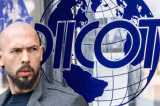  Andrew Tate, cercetat pentru incitare la ură sau discriminare, în formă continuat. Anunțul DIICOT