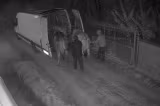 Animale furate în plină noapte! Hoții au furat inclusiv o vacă gestantă