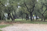 Tragedie în Statele Unite: Cinci persoane și-au pierdut viața într-un accident aviatic produs în Texas