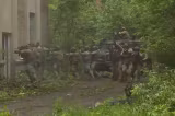 Imagini spectaculoase de la exercițiul NATO de amploare din județul Bacău. Echipa Realitatea Plus, în mijlocul operațiunii – VIDEO