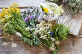  Top 10 plante care te ajută să înveți mai repede și să reții mai mult. Sunt aur curat pentru memorie și concentrare