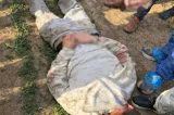 Filmul prinderii principalului suspect în uciderea fetei de 18 ani: imaginil MAI – VIDEO