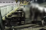 Polițist agresat pe faleza din Tulcea în timpul unei intervenții. Momentul a fost surprins de camerele de supraveghere