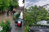 Vremea extremă a făcut ravagii în București și alte 15 județe. Zeci de gospodării au fost inundate. Bilanțul DSU 