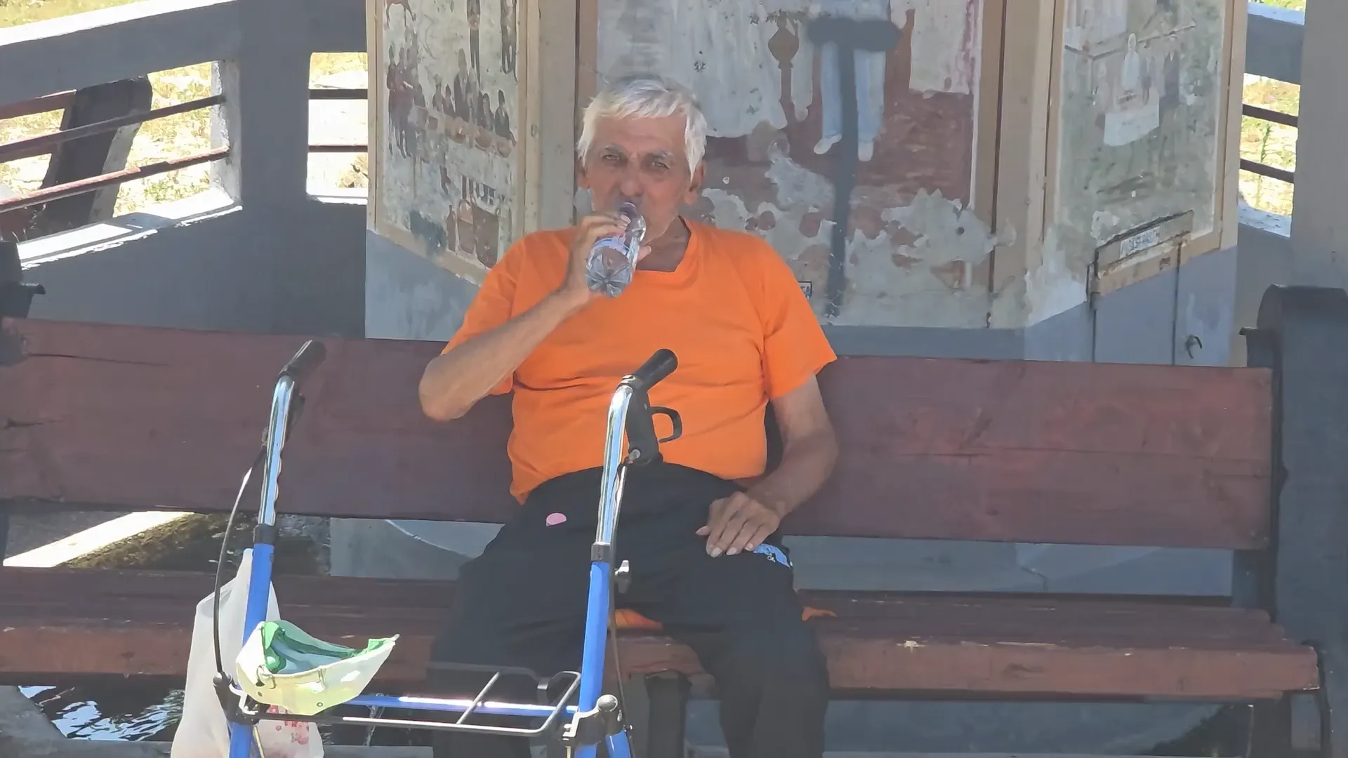 Seceta in judetul Dolj 