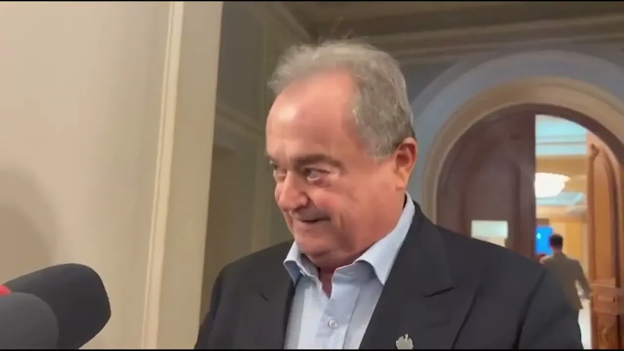 Vasile Blaga (PNL)