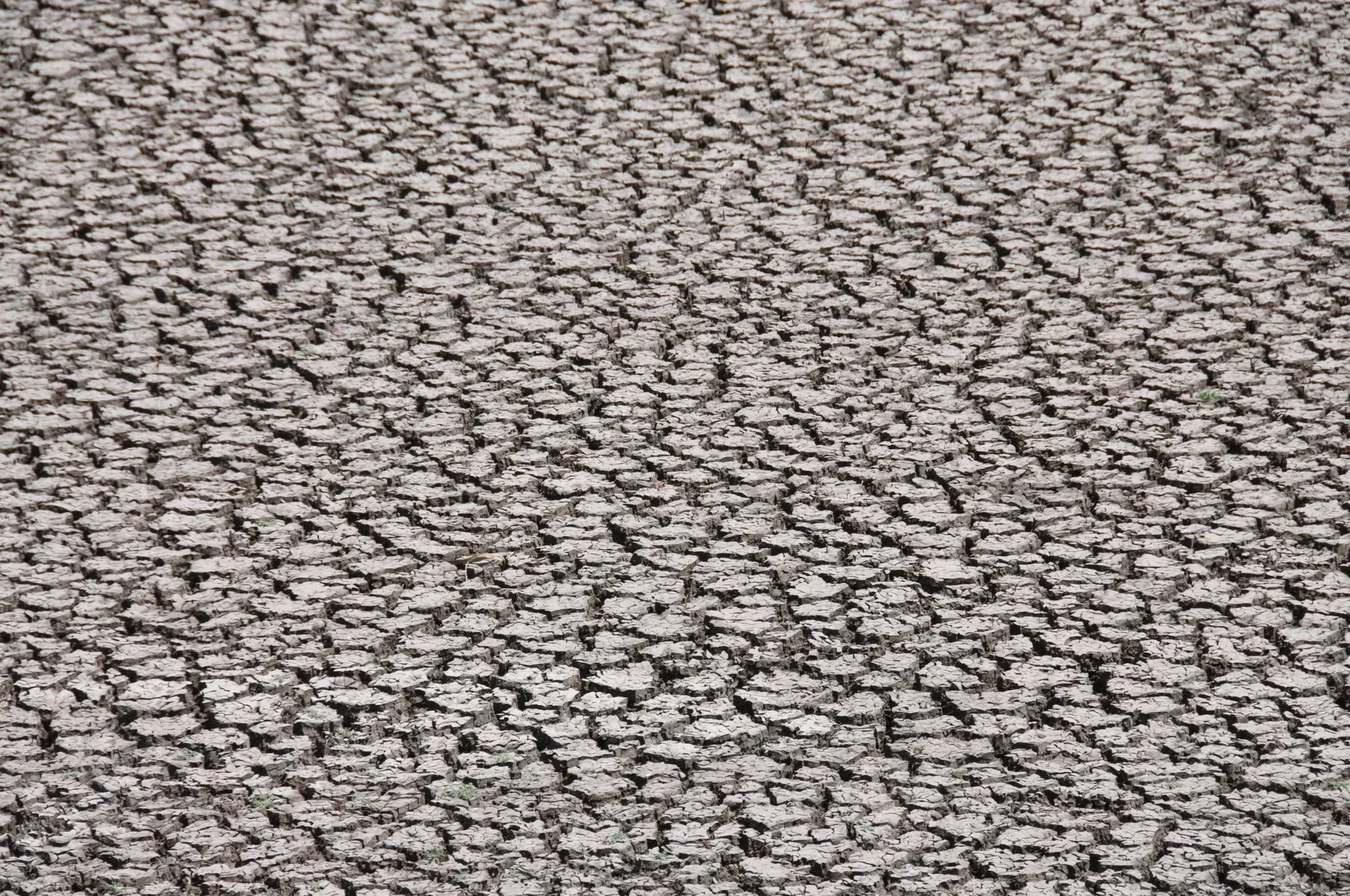 Alertă climatică: El Nino, aproape de un record istoric. Secetă, inundații și caniculă