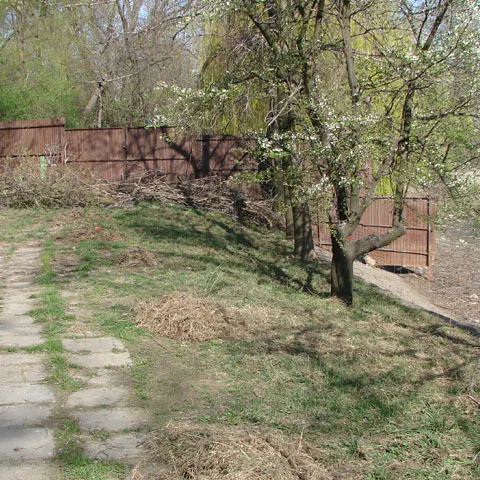 Parcul Bordei, subiectul unor dispute juridice între Primăria București și persoane fizice. Foto/Arhivă