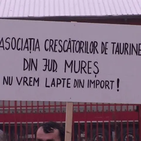 Crescătorii de vite au protestat în apropierea Vămii Nădlac