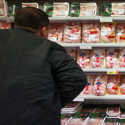 2009 - anul alimentaţiei, atât ca investiţii, cât şi ca interes al consumatorilor