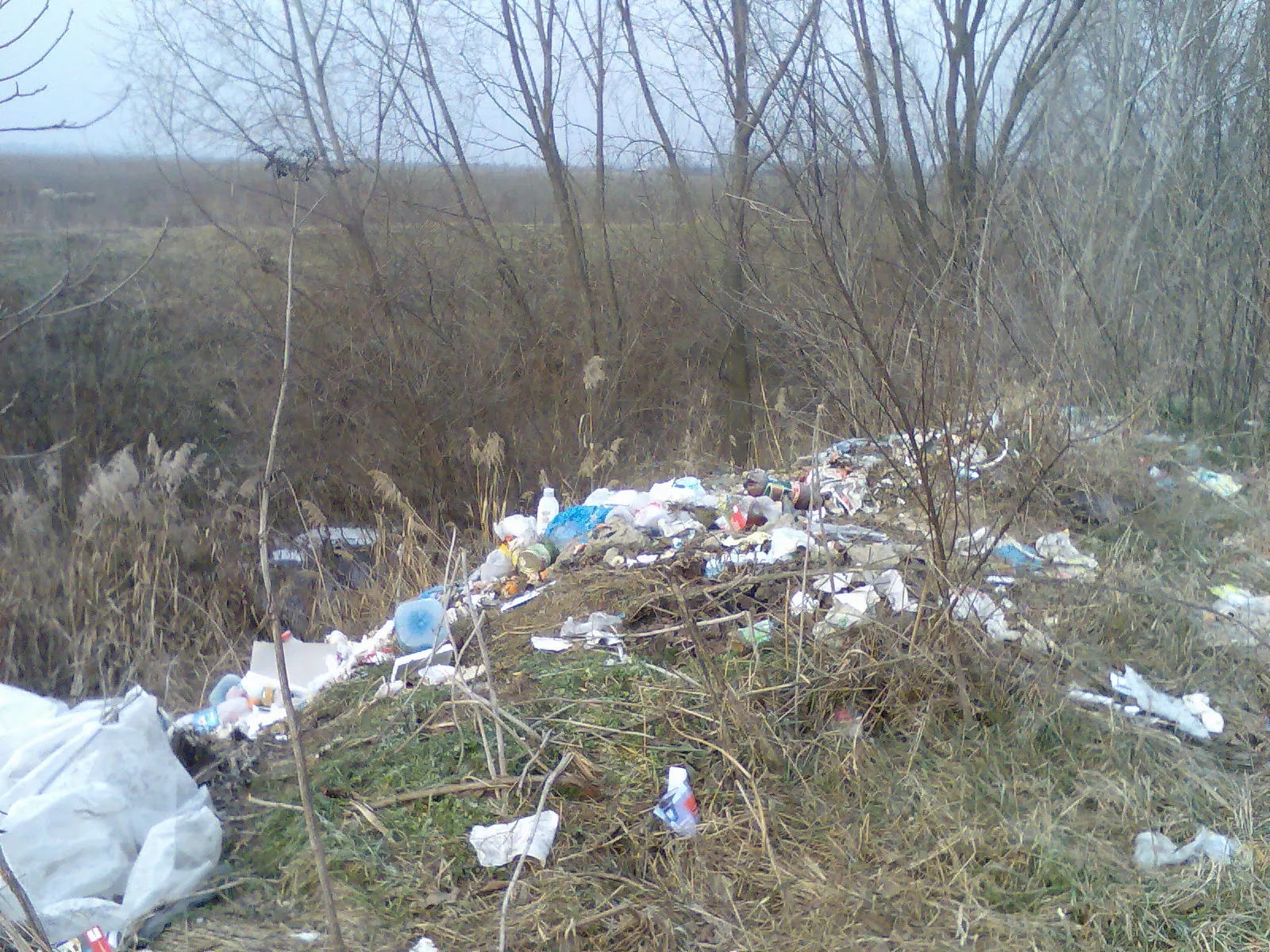 Gunoaie peste tot în Dragomireşti-Vale