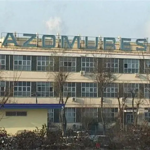 Sute de angajaţi ai Azomureş au intrat în concediu medical pentru a scăpa de şomaj tehnic