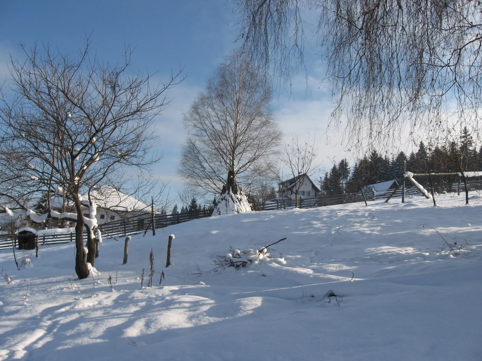 Iarna