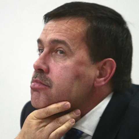 Pogea: Veniturile bugetare au fost anul trecut de 31,6% din PIB, mult sub estimări