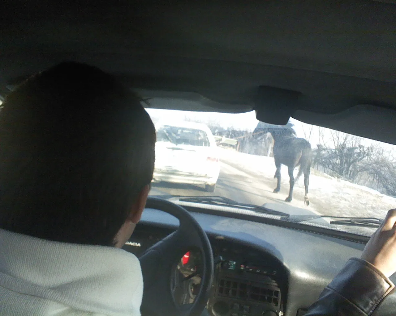 Cu calul la plimbare