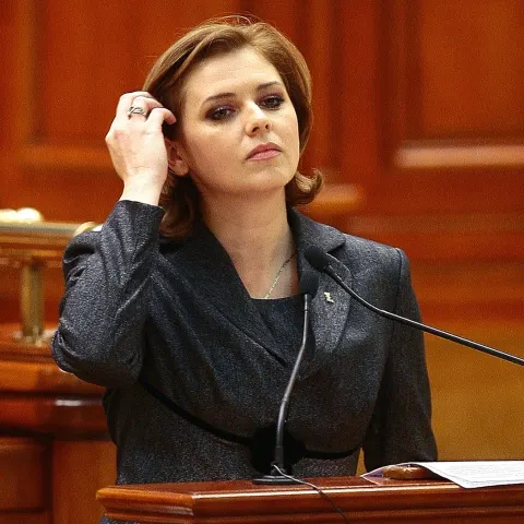 Roberta Anastase: Imunitatea parlamentară a distrus imaginea Parlamentului