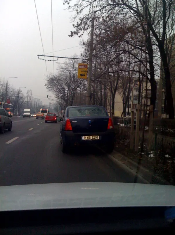 Parcarea pe bulevard
