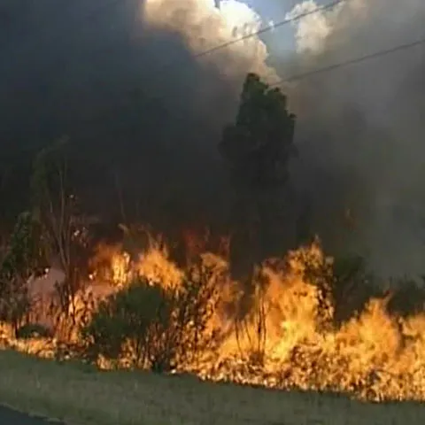 Estul Australiei este devastat de incendii de pădure