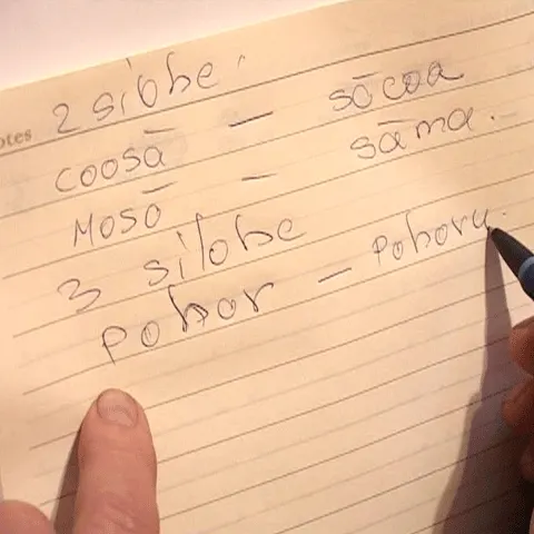 În localitatea Totoi, judeţul Alba, se vorbeşte o limbă specifică locului