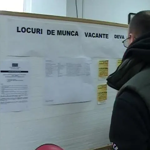 Peste 1000 de absolvenţi de studii superioare din Deva nu îşi găsesc locuri de muncă 
