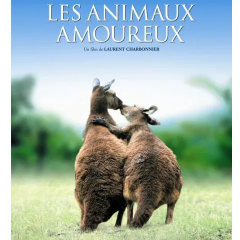 Ce fac animalele când se îndrăgostesc?