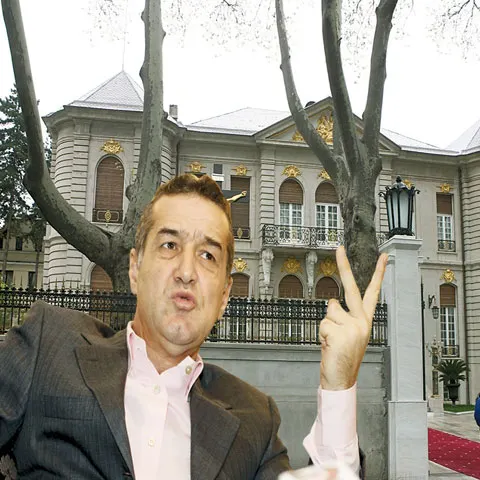 "Am ofertă de 20.000.000 euro pentru palat"