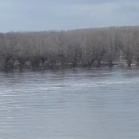 Sute de hectare de teren agricol au fost acoperite de apă 