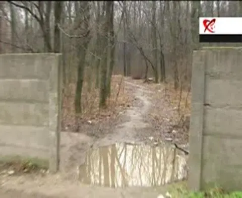 Anchetă la Ciorogârla: armele sunt în ţară