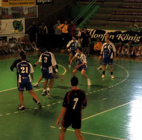 Handbal - Franţa şi Croaţia vor disputa finala Campinatului Mondial din 2009