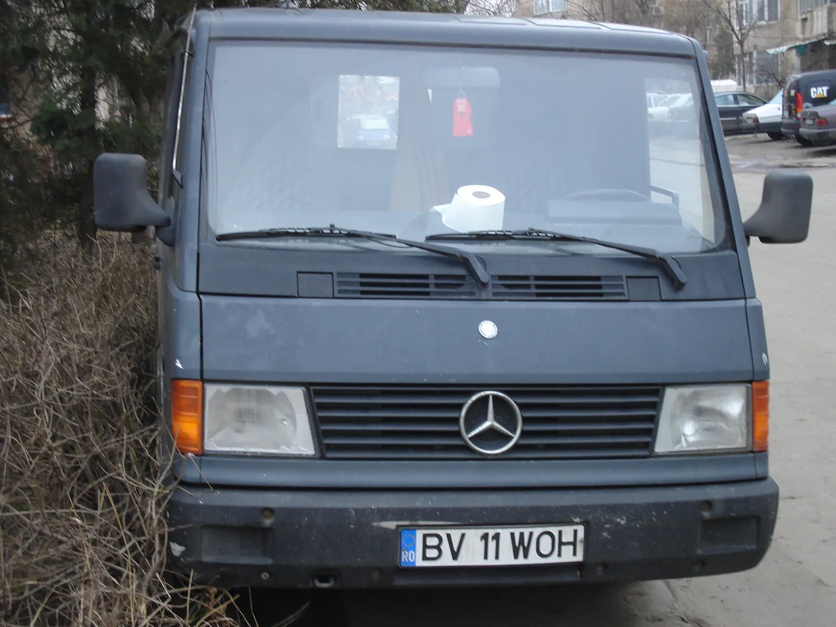 Maşină parcată în boscheţi