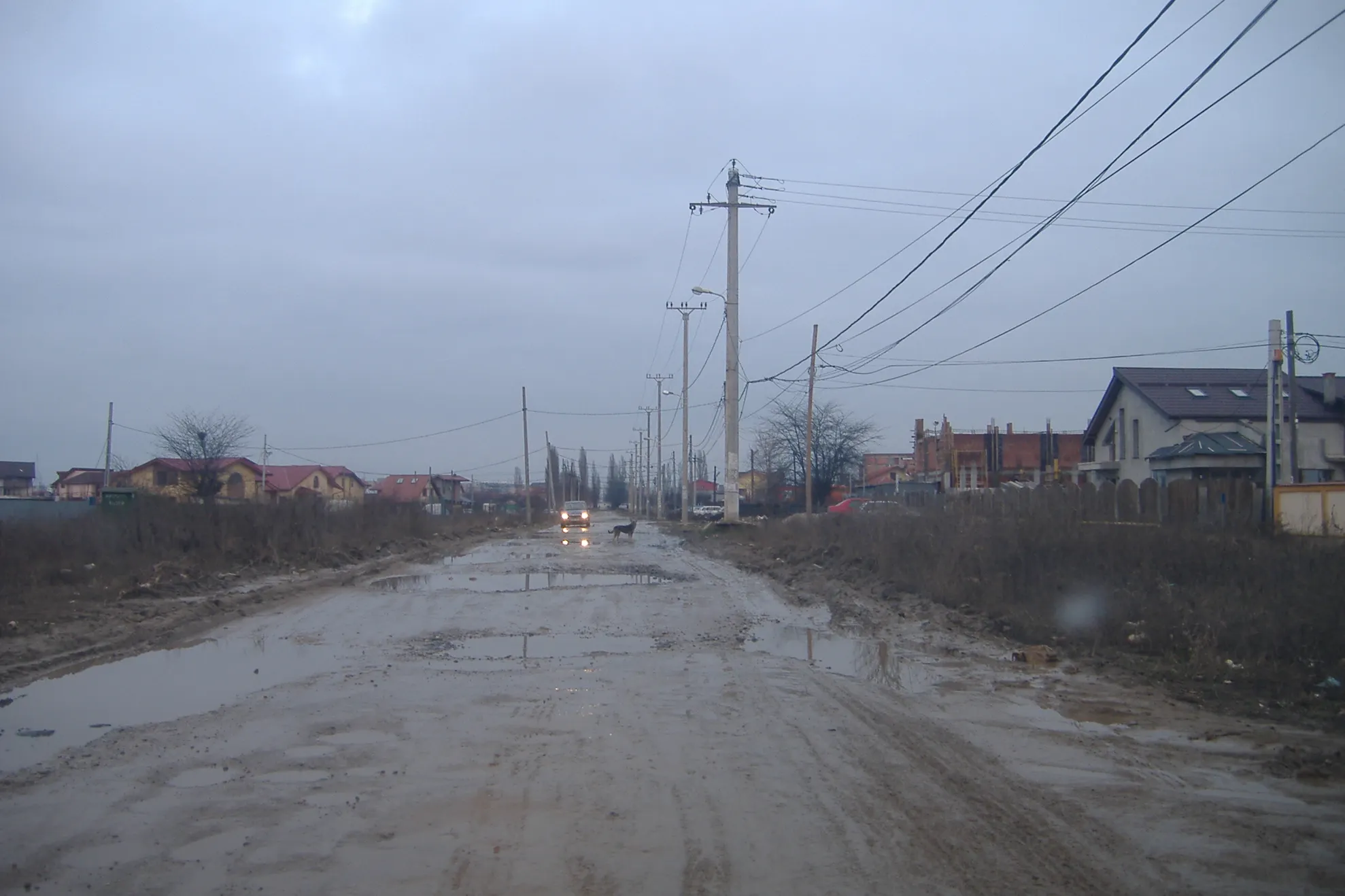 Străzile Bulgăruş şi Ghidigeni din sectorul 6, pline de gropi