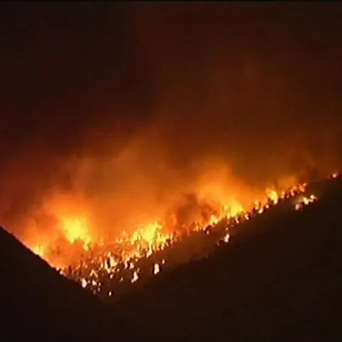 Autorităţile elene taie pinii din jurul templului antic Delfi, pentru a preveni incendiile