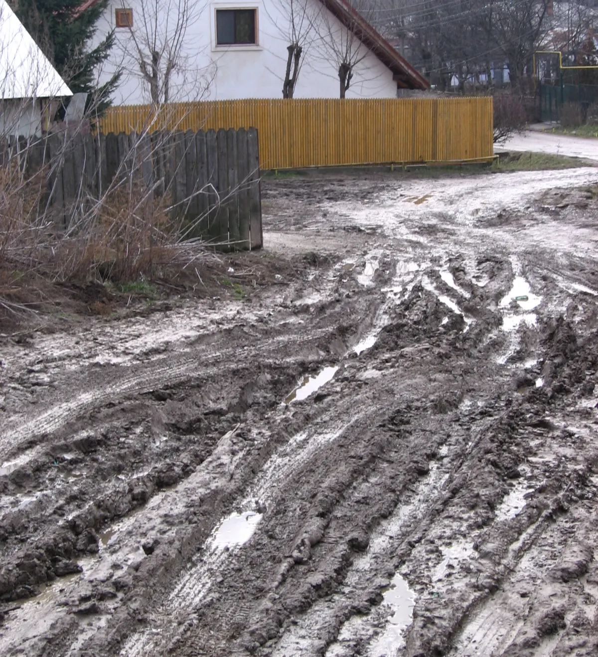 Strada Plopii Fără soţ din Iaşi