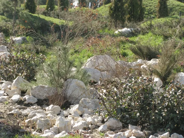 Un spaţi verde amenajat de primăria sectorului 4 a devenit loc de dormit pentru câinii maidanezi