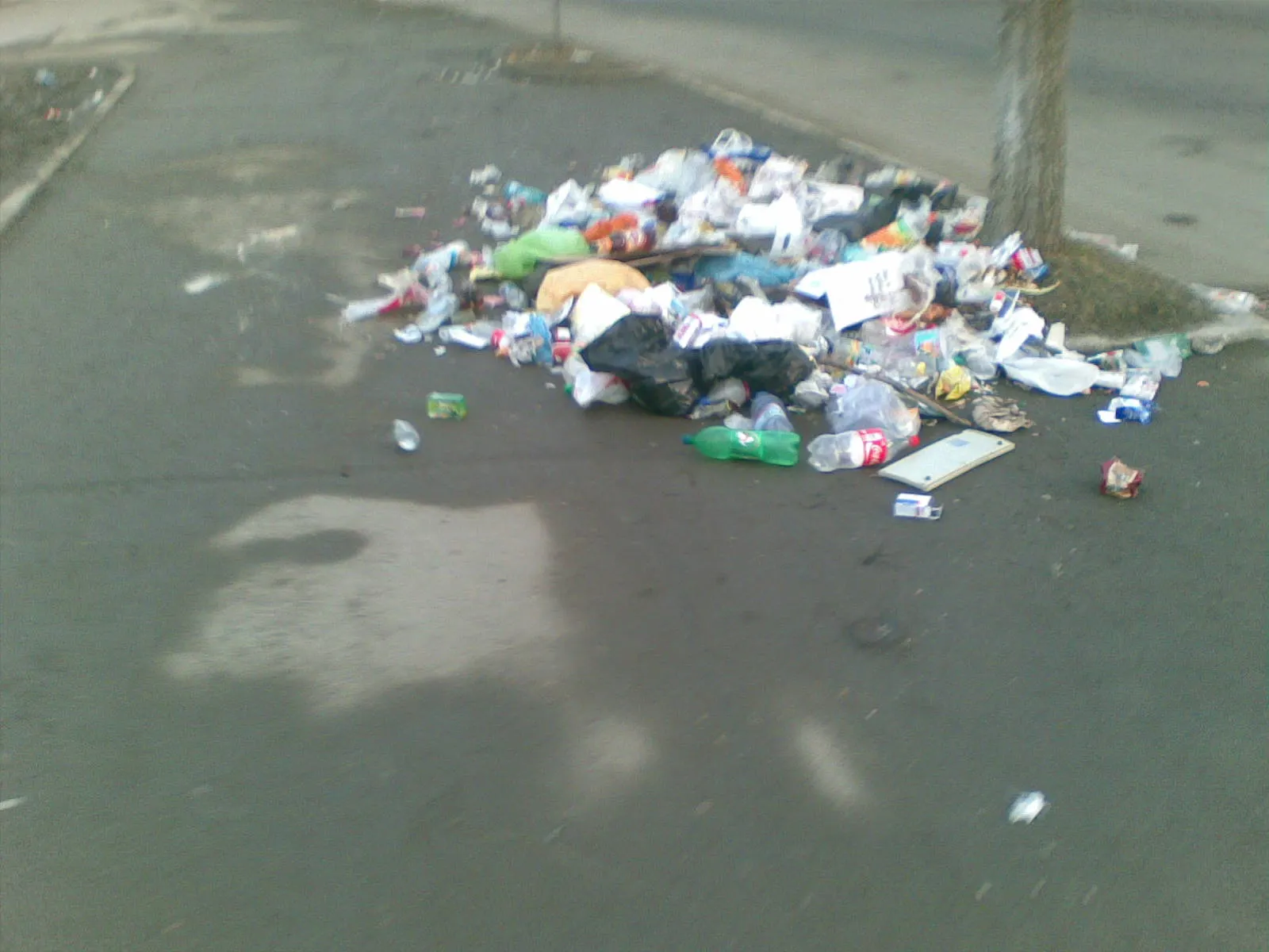 Gunoi pe o stradă din Făgăraş