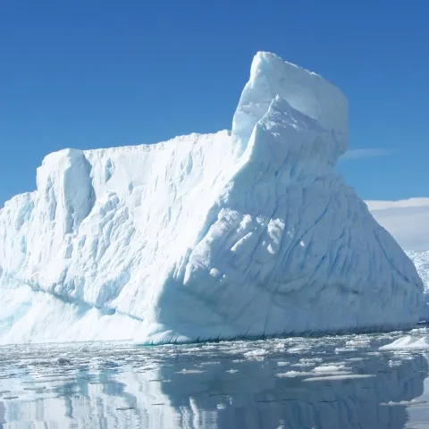 Un vierme din Antarctica rămâne în viaţă producând antigel