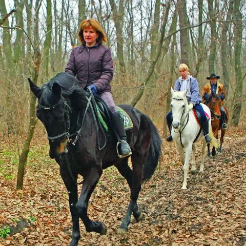 Maria Băsescu îl vizitează pe "Răsfăţ" zilnic