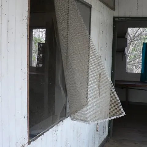 O hoaţă cu "experienţă" de 60 de ani, a fost arestată în Ungaria