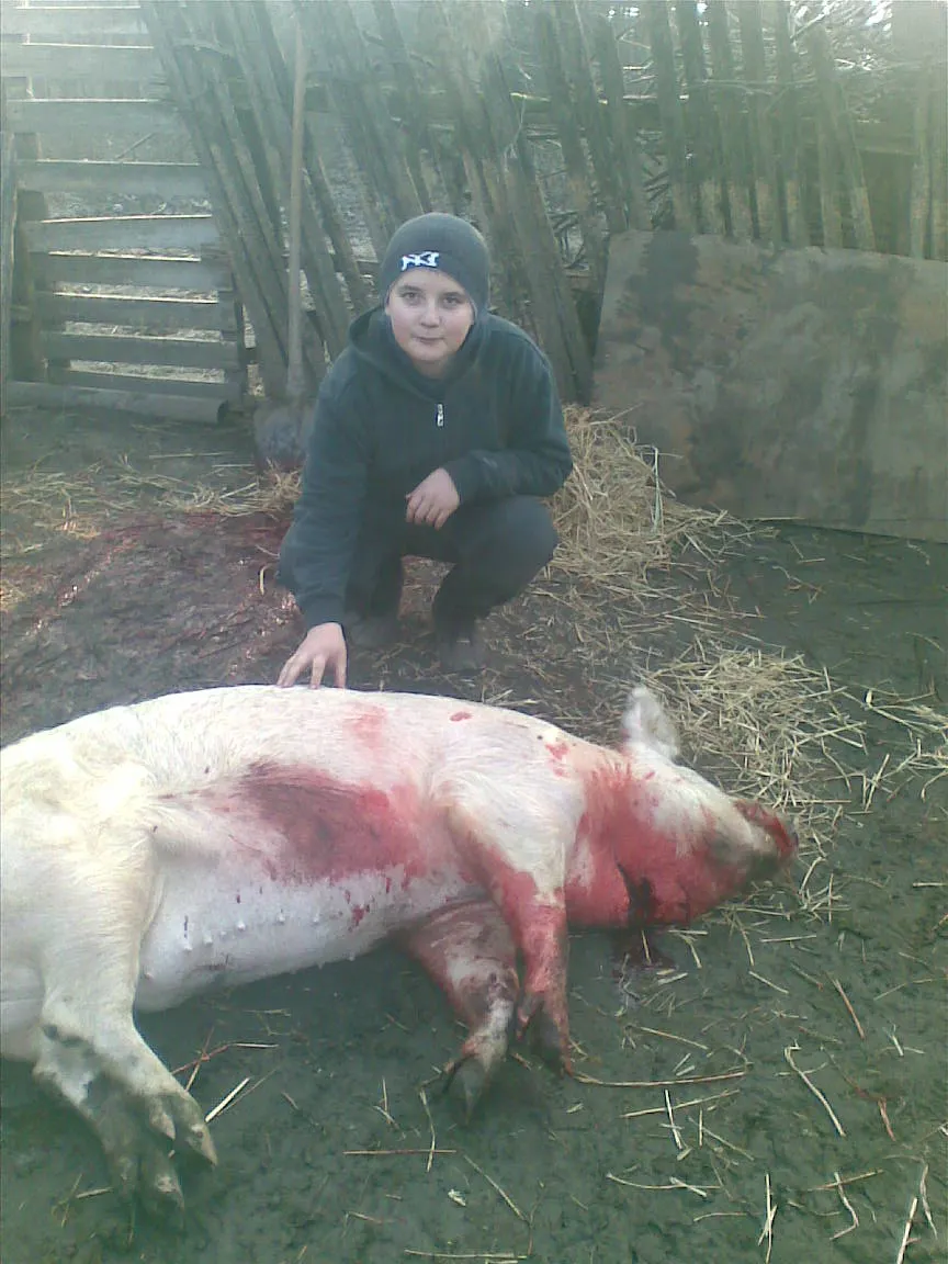 Porc măcelărit