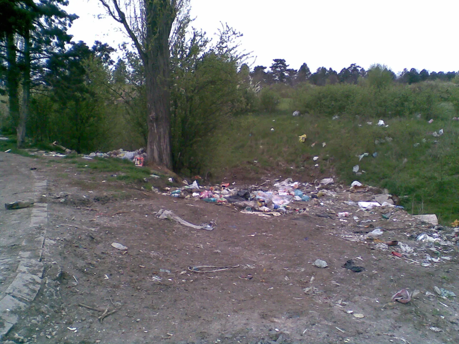 Mizerie într-o parcare din Lugoj