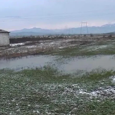 Culturile agricole din judeţul Gorj sunt salvate de ninsorile abundente 