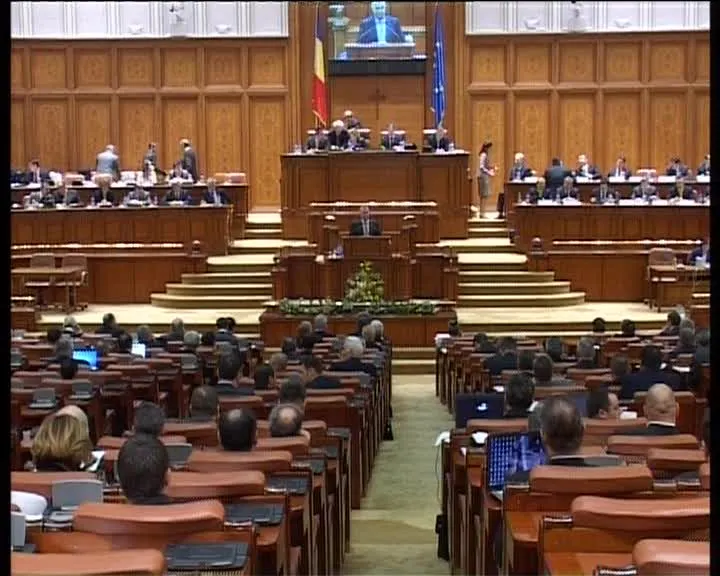 FMI şi Adrian Năstase nasc disensiuni între PDL şi PSD