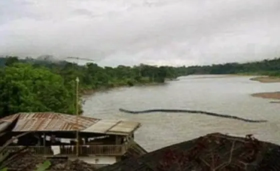 Monstrul din Loch Ness, prezent şi în Borneo, sub forma unui şarpe gigantic
