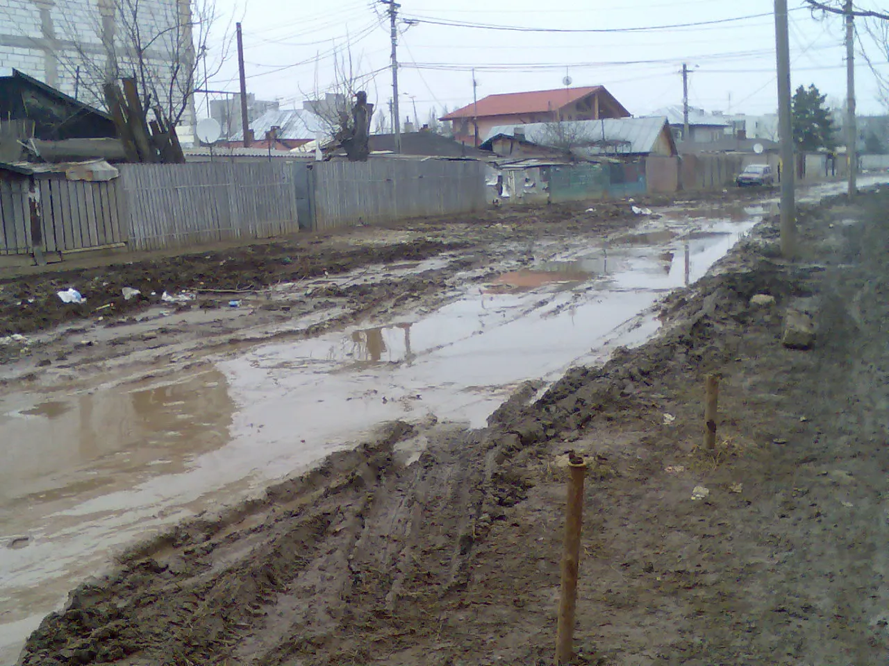 Locuitorii unei străzi din Bucureşti pot spune că locueisc într-o mocirlă